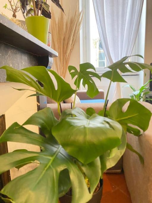 Le Jardin Secret De Nady *