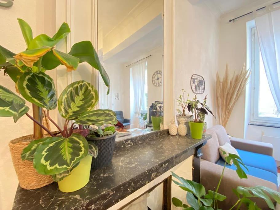 Le Jardin Secret De Nady Apartamento Carcasona